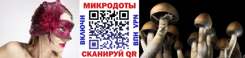 Псилоцибиновые грибы Magic Shrooms Гусь-Хрустальный